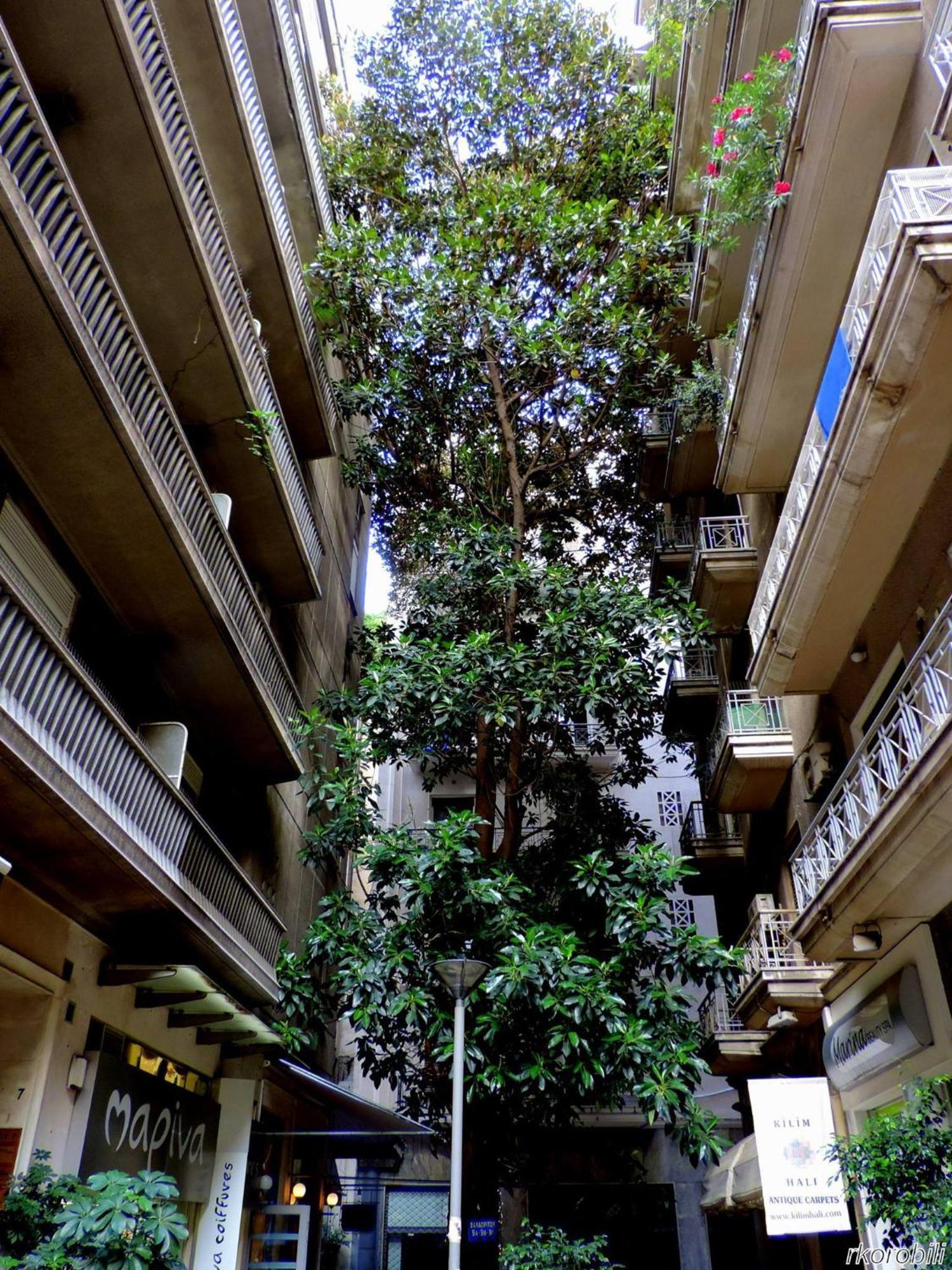 Stay At Premium Syntagma Location - Experience 1 Atena Exterior foto